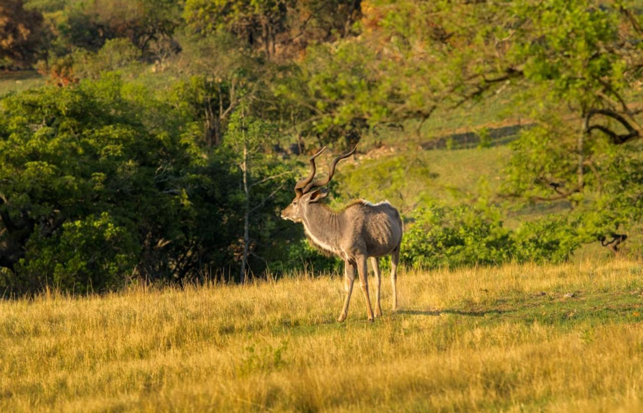 @Nature Luxury Cottages Mbombela Ngoại thất bức ảnh