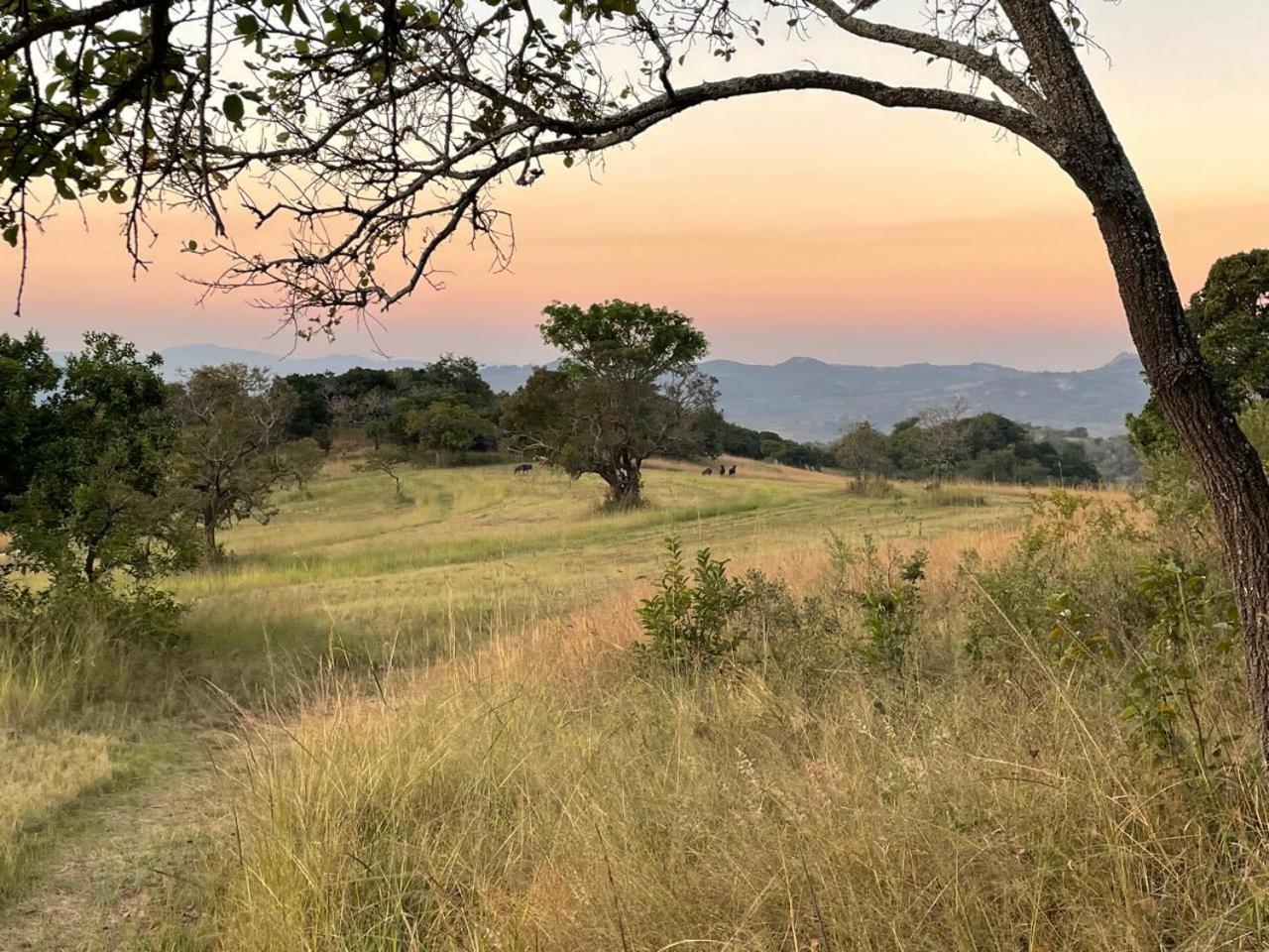 @Nature Luxury Cottages Mbombela Ngoại thất bức ảnh