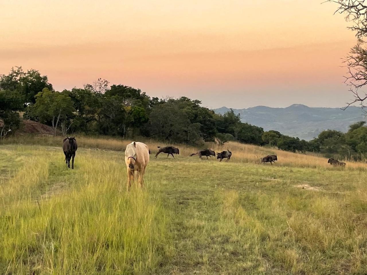 @Nature Luxury Cottages Mbombela Ngoại thất bức ảnh