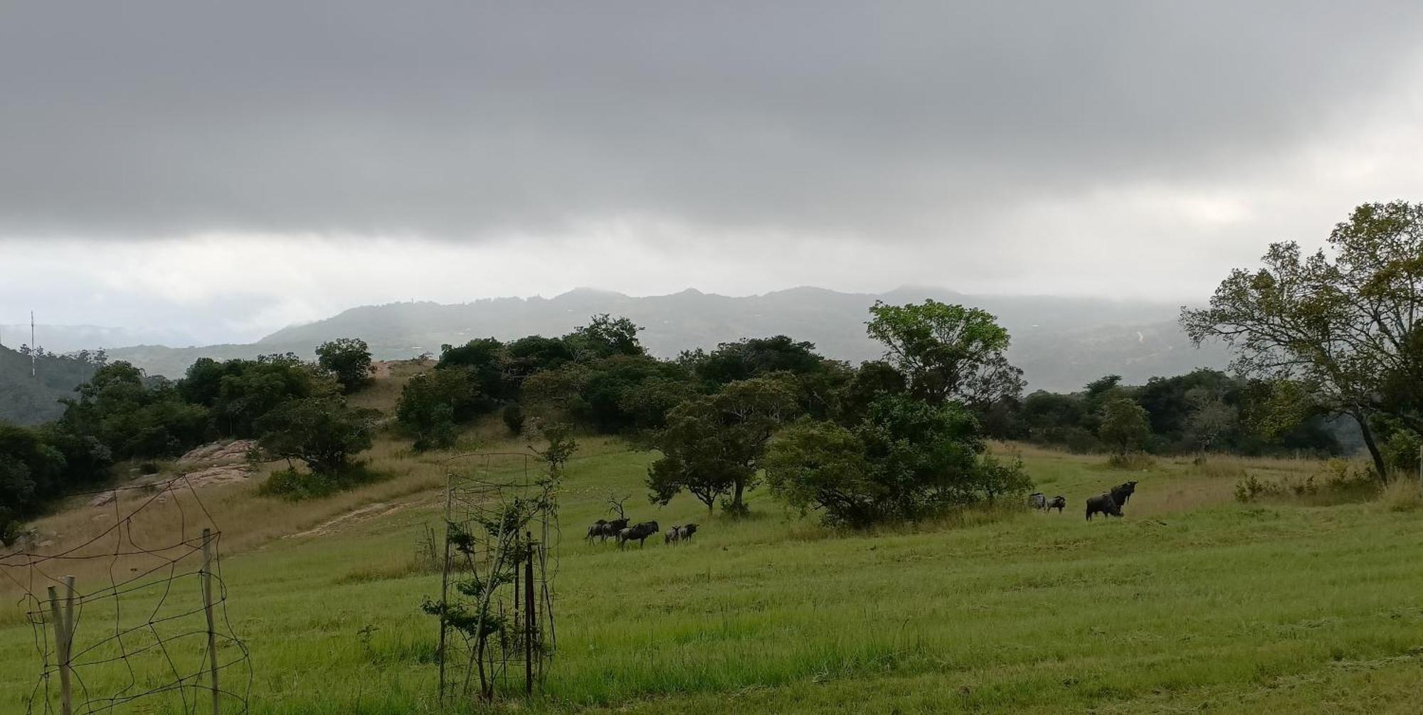 @Nature Luxury Cottages Mbombela Ngoại thất bức ảnh