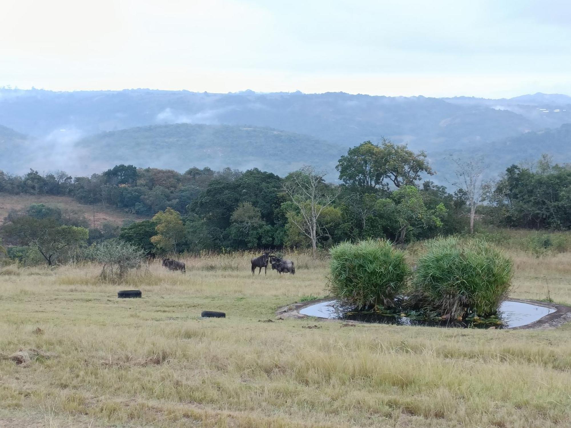@Nature Luxury Cottages Mbombela Ngoại thất bức ảnh