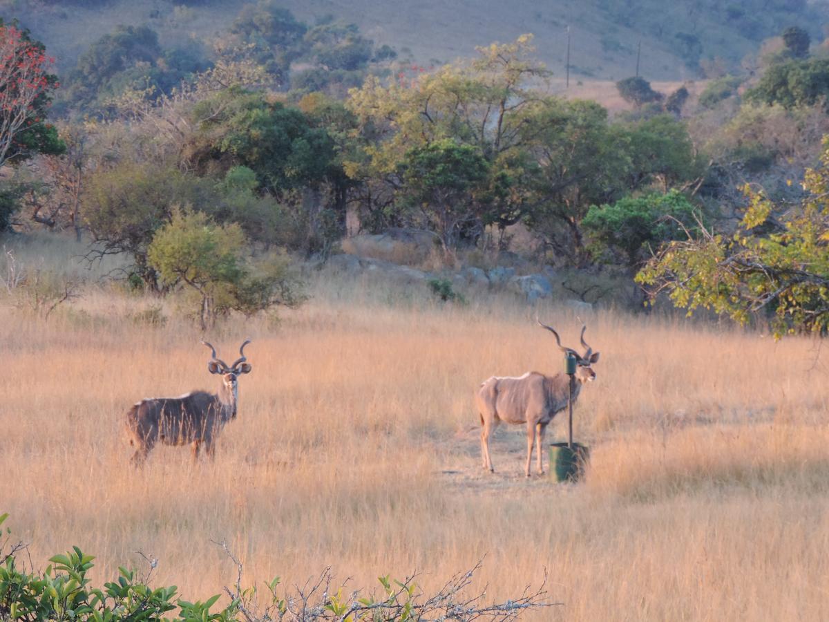 @Nature Luxury Cottages Mbombela Ngoại thất bức ảnh